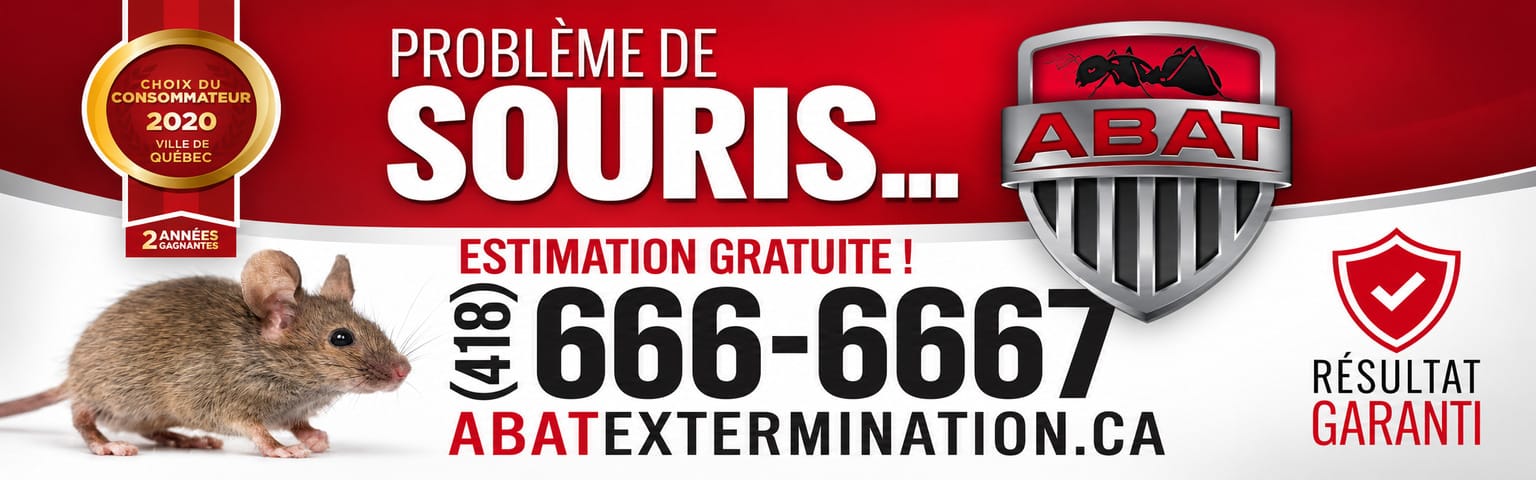 Publicité